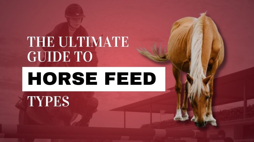 156-The-Ultimate-Guide-To-Horse-Feed-Types