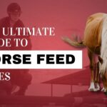 156-The-Ultimate-Guide-To-Horse-Feed-Types