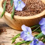 AdobeStock_157149807_11zon-1280x640