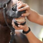 AdobeStock_284639780-1920x1280
