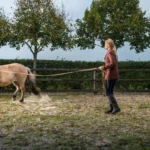 Blogbilder_Jule_35_eb709659-1984-4a57-9f9a-fb2e2c1b9135