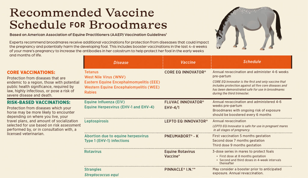 Broodmore-VaccineSchedule-img_1440x1112