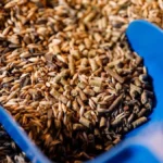 Grain