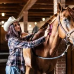 How-to-Groom-a-Horse