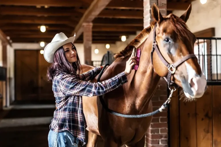 How-to-Groom-a-Horse