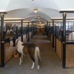 stable management