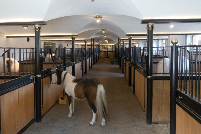 stable management