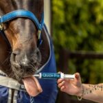 Worming-Blog-PEP_1708336246