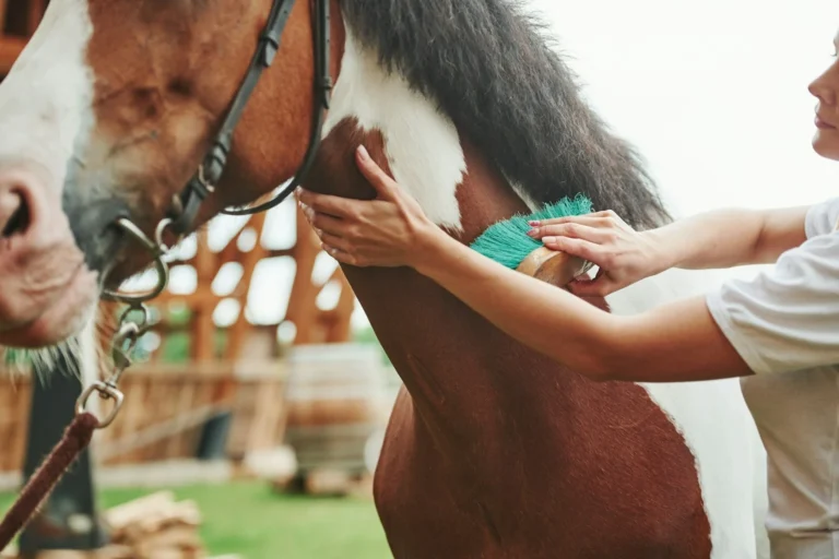 getty-images-r1a-BLQfunY-unsplash_5d8f5369-b7bb-4e56-a293-5f417fd4fc2c
