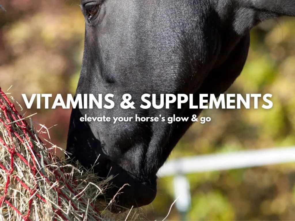 horse-supps-banner-1200x900_1600x