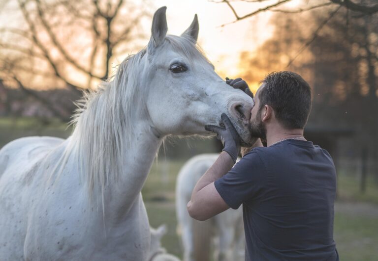 horses-1
