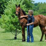 leading-and-patting-weanling