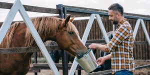 lucernefarms-437014-man-feeding-horse-image1-1