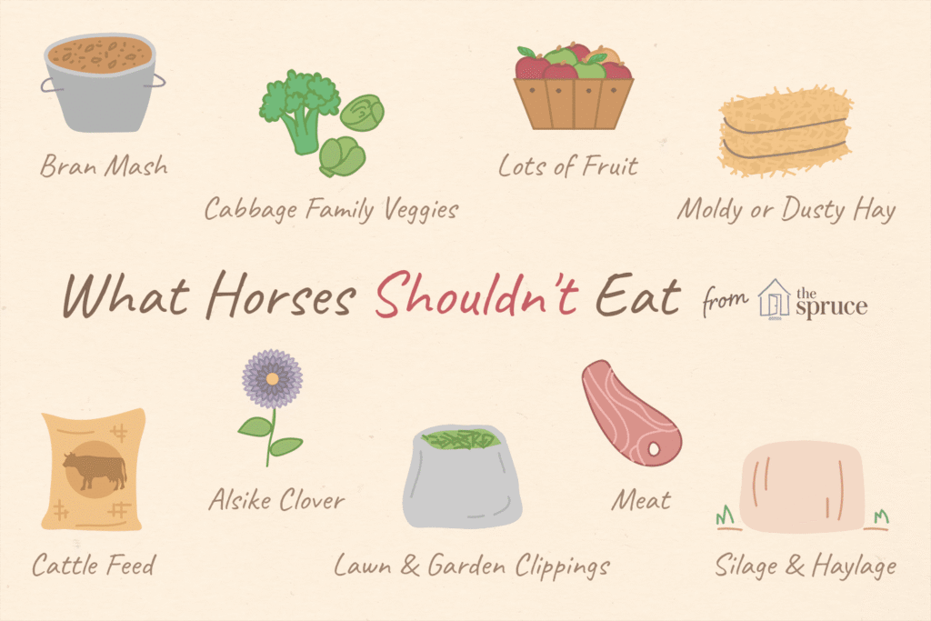 things-a-horse-shouldnt-eat-1886470_final_AC-5bf46ba446e0fb002635dd63